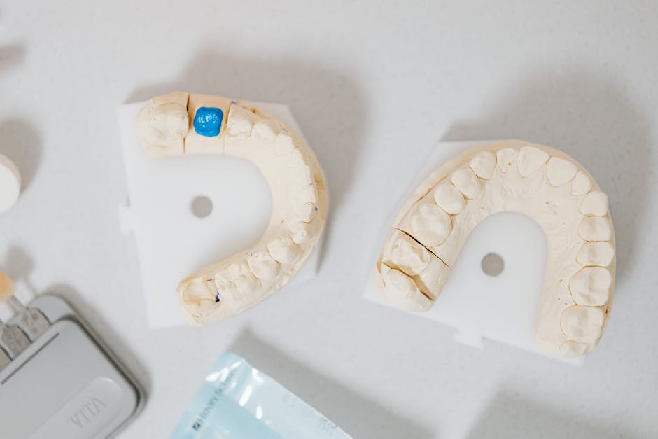 top view of dental molds at RTC Dental in Chantilly for Pediatric dentist Reston services.